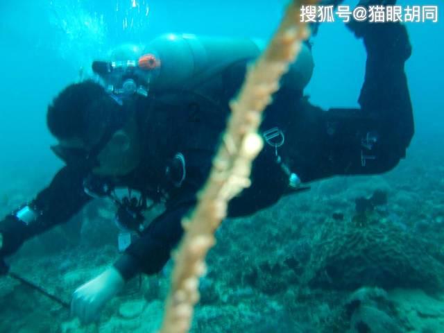 春节临近，烟花爆竹经营者需要满足这些条件